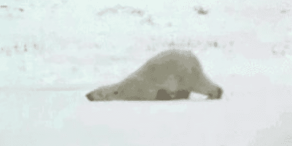 Quand je retourne à mon poste après manger