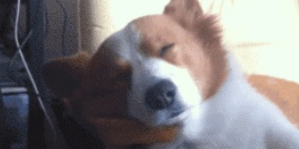 Quand soudain, on me demande mon avis en réunion