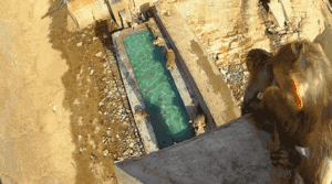 Quand je vois le stagiaire hésiter pour son passage en prod