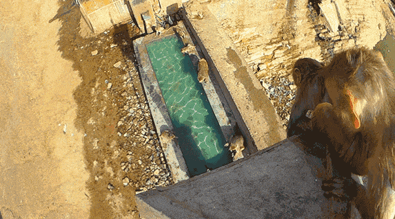 Quand je vois le stagiaire hésiter pour son passage en prod