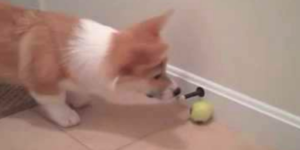 Quand je teste un bout de code non commenté