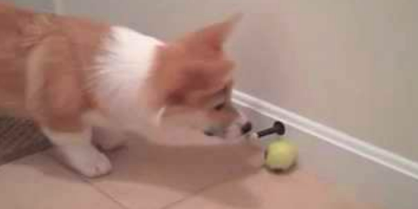 Quand je teste un bout de code non commenté