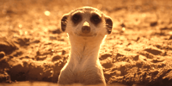 Quand je sens l'odeur du café