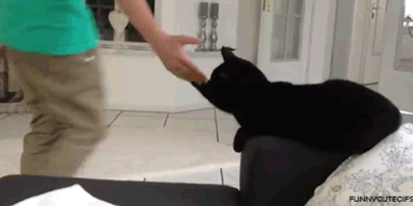 Quand on a corrigé un bug en prod