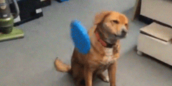 Quand on me transfère des tickets tout pourris