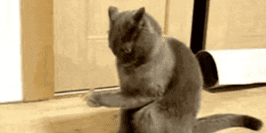 Quand on me demande de reprendre un projet VB