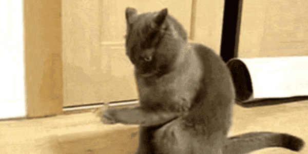 Quand on me demande de reprendre un projet VB