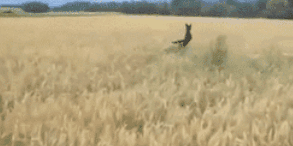 Quand je commence à travailler sans specs