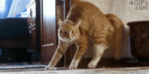 Eh ! Tu peux m'aider sur une regex s'il-te-plaît ?