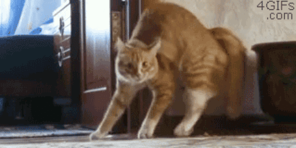 Eh ! Tu peux m'aider sur une regex s'il-te-plaît ?