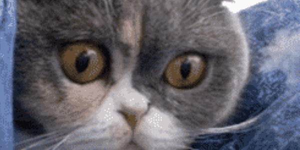 Quand je teste mon dev et que je tombe sur un bug