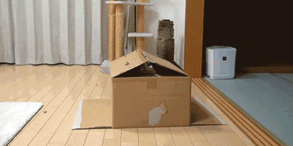 Quand l'équipe cherche le responsable d'un bug bloquant