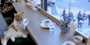 Quand je prends mon premier café après être revenu de vacances