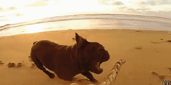 Quand j'essaie de corriger du code spaghetti