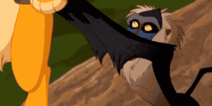 Quand le chef me présente le nouveau et me demande de "vite le mettre dans le bain"