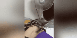 Quand on teste notre prototype