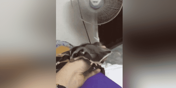 Quand on teste notre prototype