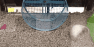 Quand on livre une nouvelle fonctionnalité aux utilisateurs