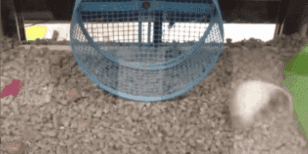 Quand on livre une nouvelle fonctionnalité aux utilisateurs