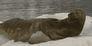 Quand je suis sur Facebook et que le chef me surprend