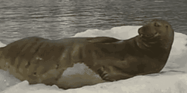 Quand je suis sur Facebook et que le chef me surprend