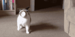 Quand je tombe sur un nouveau bug et que je joue du Ctrl+Z