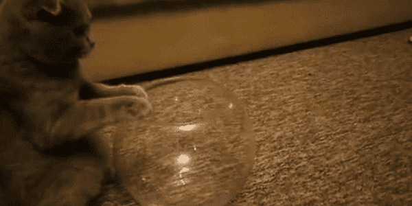 Quand je découvre les conteneurs Docker