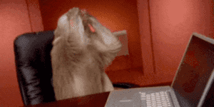 Quand je réalise que j'ai une accolade manquante dans mon code