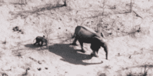 Quand je suis les instructions d'une réponse sur Stack Overflow