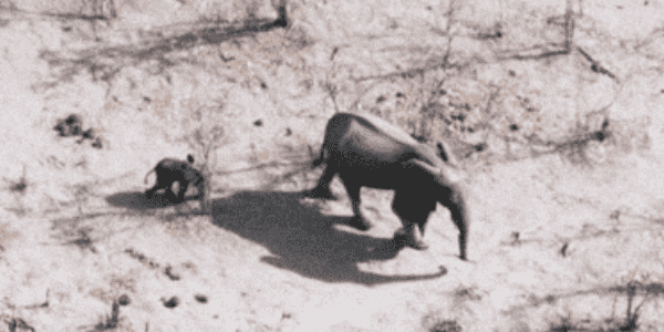 Quand je suis les instructions d'une réponse sur Stack Overflow