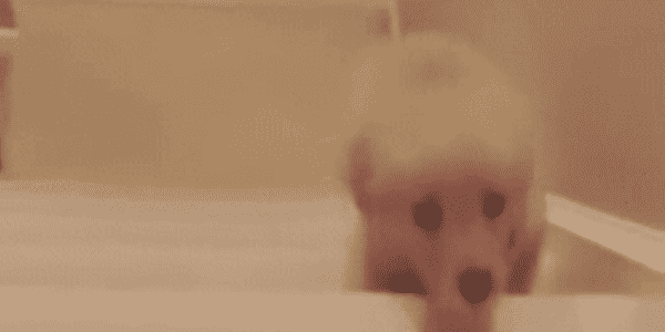 Quand j'essaie de partir plus tôt le vendredi soir et que le chef me tombe dessus