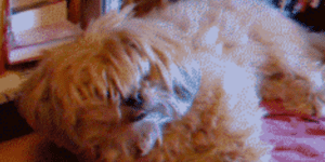 Quand j'entends mon prénom en réunion et qu'en fait on ne s'adresse pas à moi