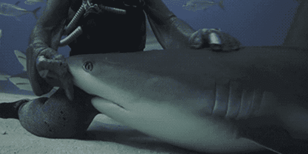 Quand je suis avec le patron et que je m'apprête à lui parler de ma prime