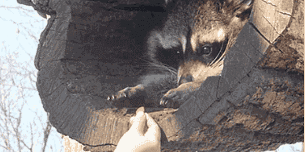 Quand le sysadmin me donne l'accès root