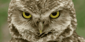 Quand mon collègue veut me prouver que j'ai tort, mais n'y arrive pas après avoir perdu 3 heures