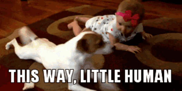 Quand je travaille avec le stagiaire