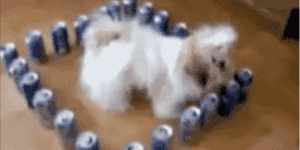 Quand j'ai oublié de mettre une condition de sortie dans mon while