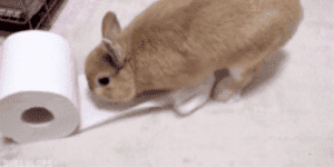 Quand tu sais que la réponse est dans la doc