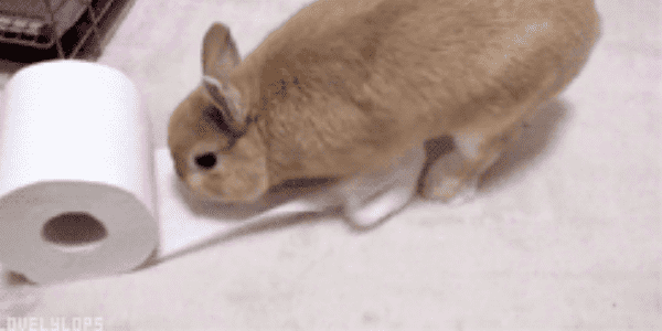 Quand tu sais que la réponse est dans la doc