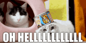 Quand le client nous demande de développer une petite évol de dernière minute