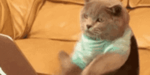 Quand la deadline... c'est demain.