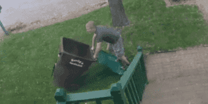 Quand le stagiaire fait sa première livraison