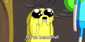 Quand mon code fonctionne à la perfection