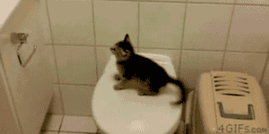 Quand j'utilise un nouveau framework sans lire la documentation