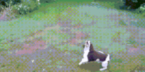 Quand je débugue dans le mauvais environnement