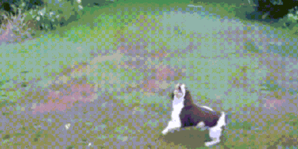 Quand je débugue dans le mauvais environnement