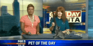 Quand l'appli ne répond plus