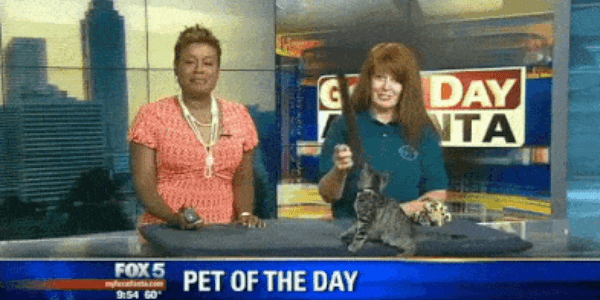 Quand l'appli ne répond plus