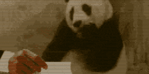 Quand on me montre les specs de mon nouveau projet