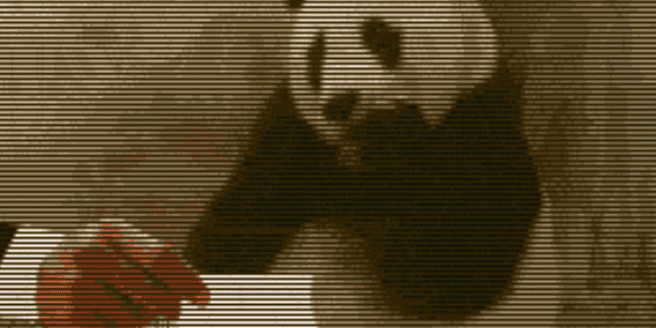 Quand on me montre les specs de mon nouveau projet